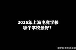 2025年上(shàng)海電(diàn)竞学校哪(nǎ)个学校最好？