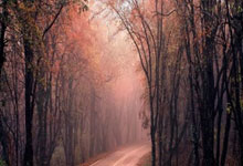 有奖征名！留学圈顶流潮玩“小贵贵”英文名由(yóu)你来定