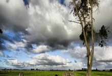 四川最新人事动态(si chuan zui xin ren shi dong tai)