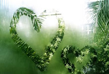 阳普医疗全资子公司獲(huò)医疗器械變(biàn)更注(zhù)册