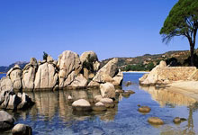 第一届高校足球运動(dòng)專(zhuān)业足球联赛开幕