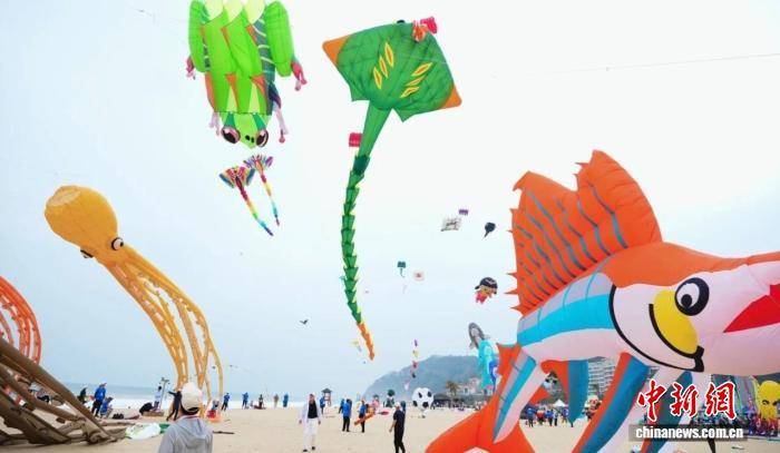 2025年阳江国际风筝邀请赛举行
