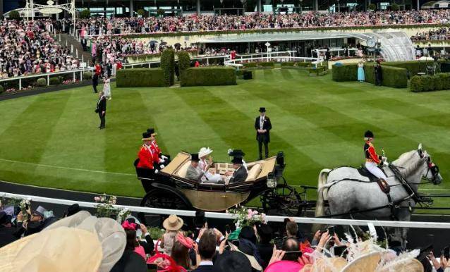 【盘点】中国赛驹赢下几场？2025全球国际赛马节暨重磅一级赛视频集锦