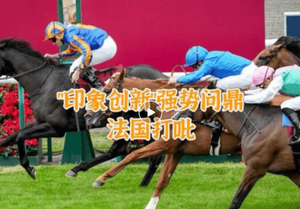 【盘点】中国赛驹赢下几场？2025全球国际赛马节暨重磅一级赛视频集锦